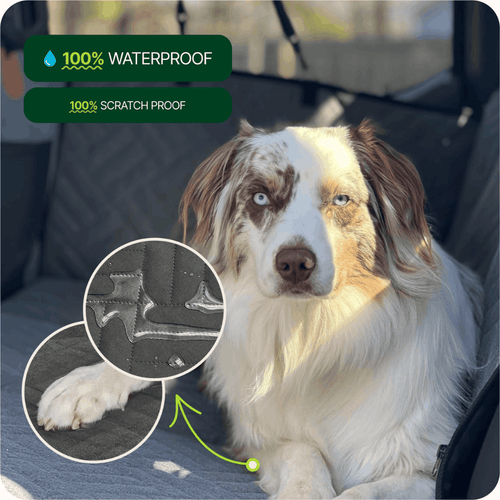 Back Seat Extender